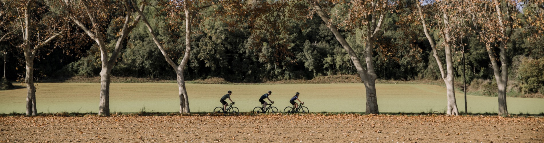 Fietsspeciaalzaak Roelofs